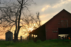 barn sunset